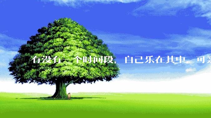 有没有一个时间段，自己乐在其中，可亲人或者朋友却觉得你很辛苦，很心疼你?