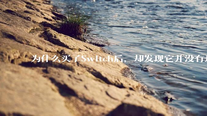 为什么买了Switch后，却发现它并没有那么好玩？