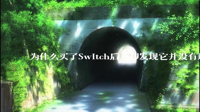 为什么买了Switch后，却发现它并没有那么好玩？