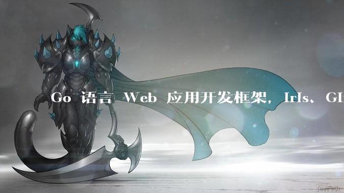 Go 语言 Web 应用开发框架，Iris、Gin、Echo，哪一个更适合大型项目？